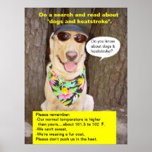 Preventing Heatstroke Poster