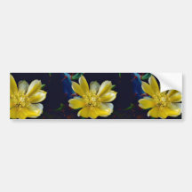 Prickly Pear Cactus Bumper Stickers