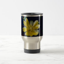 Prickly Pear Cactus Coffee Mugs