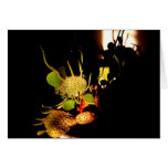 Prickly plants card