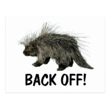 Prickly Porky Post Card