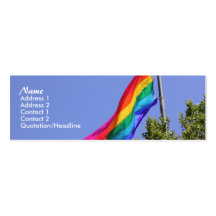 Pride Profile Card Business Cards