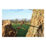 Prikkeldraad Fotoprints