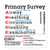 Primary Survey english japanese text Square Stickers