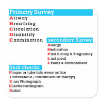 Primary Survey secondary Survey final checks Square Stickers