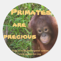 Primates are Precious Round Stickers