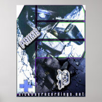 PRIME 2011 Poster