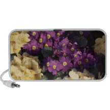 Primrose iPhone Speakers