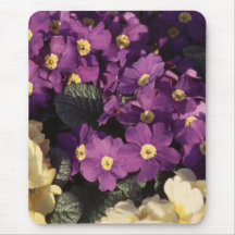 Primrose Mouse Pad