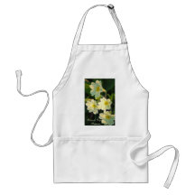 Primrose (Primula Vulgaris) Aprons