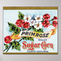 Primrose Sugar Corn Vintage Ad