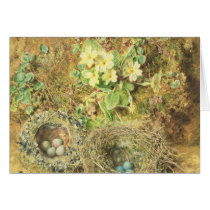 Primroses and Birds' Nests cards