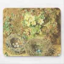 Primroses and Birds' Nests mousepads