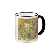 Primroses and Birds' Nests mugs