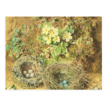 Primroses and Birds' Nests postcards