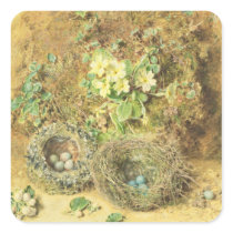 Primroses and Birds' Nests stickers