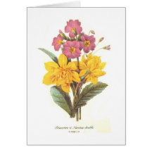 Primula and daffodils card