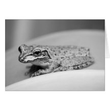 Prince (b&w) greeting cards