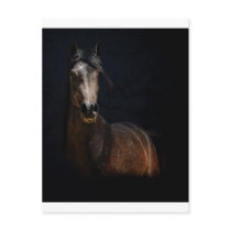 Prince of Darkness Post Card