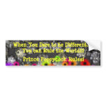 Prince Poppycock - Rule The World Bumper Stickers