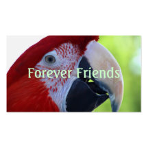 Princess Green Wing Macaw Business Card