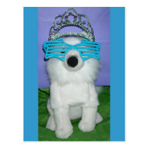 Princess Humour/Tiara Postcard