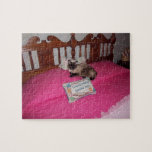 Princess Jigsaw Puzzles