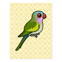 Princess Parrot Postcards