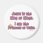 Princess Refrigerator Magnets