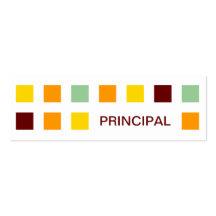 PRINCIPAL (mod squares) Business Card Template