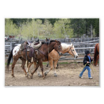 Principaux chevaux 5x7 de petit cowboy photos sur toile