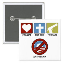 Princples Against Obama Pin