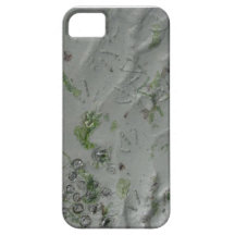 Prints In The Sand iPhone 5 Case