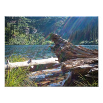 PRINTS ~ "Porcupine Lake" Photograph