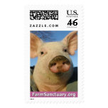 Priscilla Noelle the Pig Postage Stamps