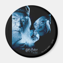Prisoner of Azkaban - Spanish 1 Fridge Magnet
