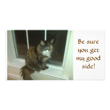 Prissy Kitty Picture Card