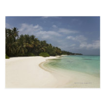 Pristine beach and coconut palms. postcard