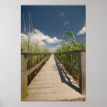 Private dock print