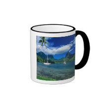 Private yachts anchored in Opunohu Bay on the Mug