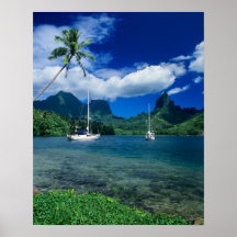 Private yachts anchored in Opunohu Bay on the Posters