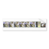Privates Revenge Bumper Stickers