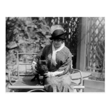Prize Bulldog, 1910s Post Cards