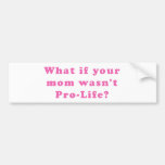 Pro Life Bumper Sticker