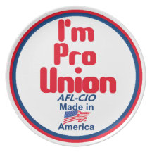 Pro UNION Plate