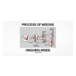 Process Of Meiosis Ongoing Inside Photo Card Template