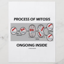 Process Of Mitosis Ongoing Inside Personalized Flyer