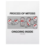 Process Of Mitosis Ongoing Inside Letterhead
