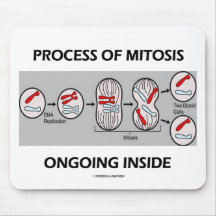 Process Of Mitosis Ongoing Inside Mousepads