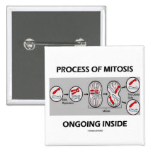 Process Of Mitosis Ongoing Inside Pinback Buttons